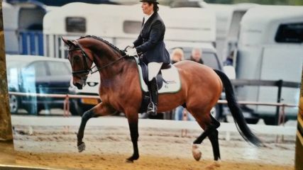 Zantos 67.40% behaald in de Grand Prix