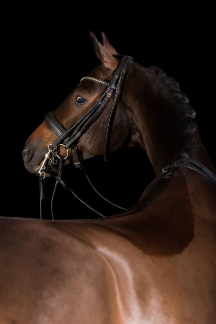 ZNP Deejay 2e plaats Inter 1 met super score!