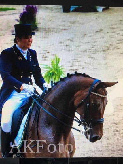 Zantos (Zaluut) Grand Prix gewonnen met super score