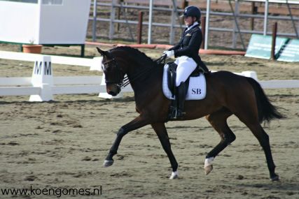 ZNP San Diego